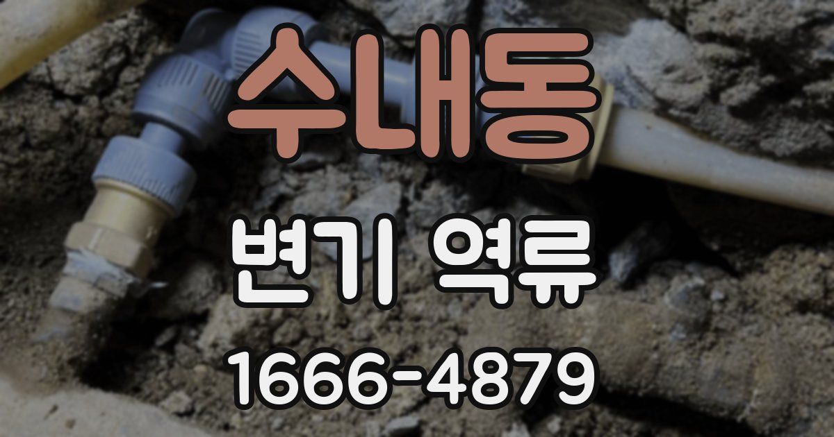 수내동 변기 역류