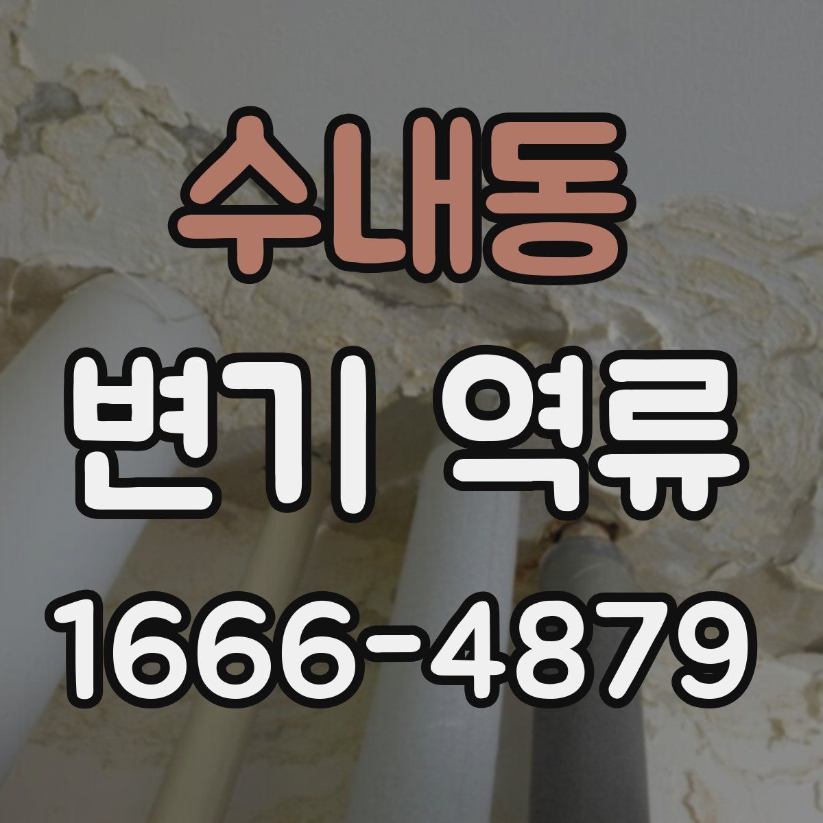 수내동 변기 역류