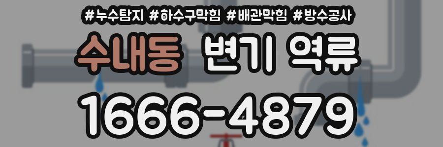 수내동 변기 역류