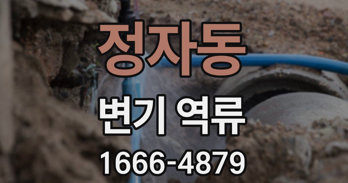 정자동 변기 역류