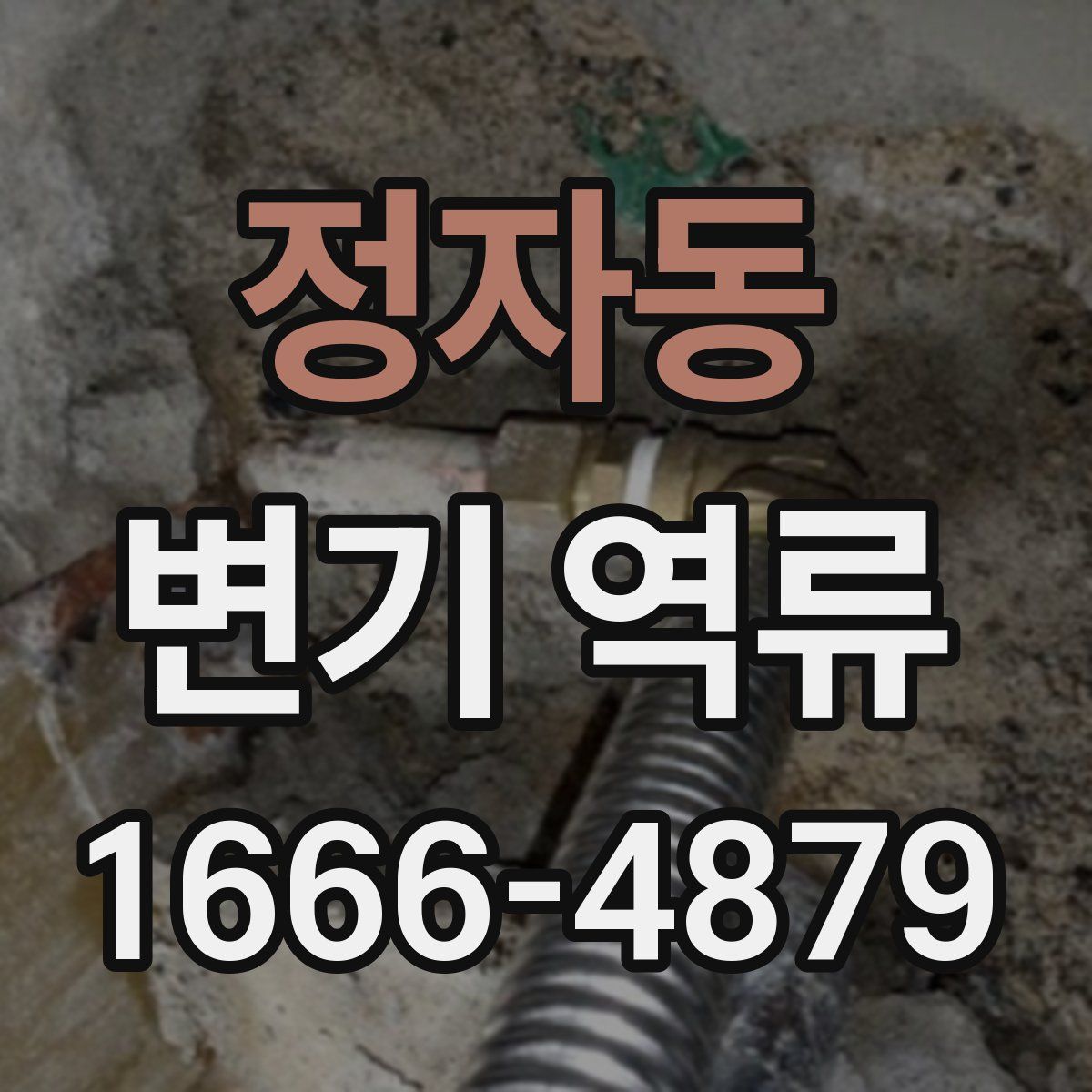 정자동 변기 역류