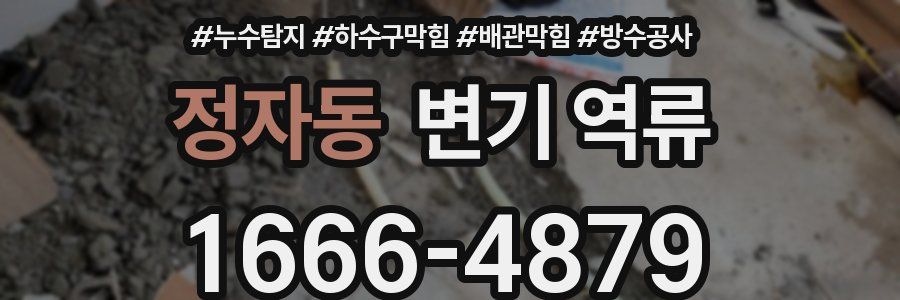 정자동 변기 역류