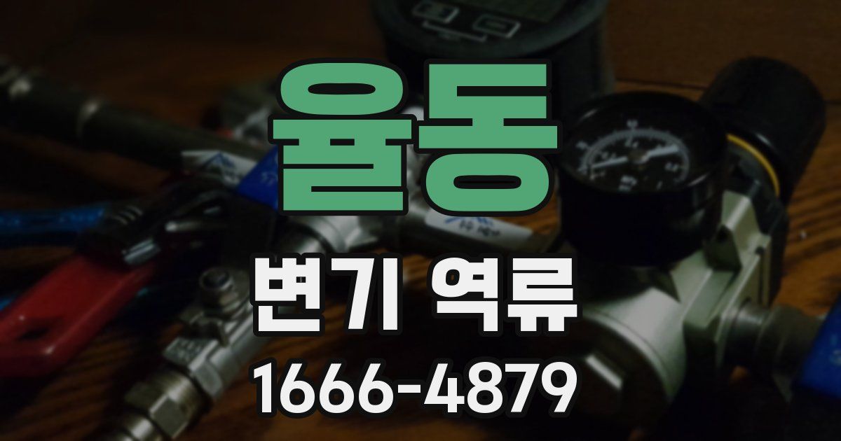 율동 변기 역류