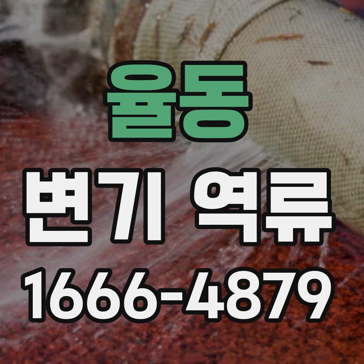 율동 변기 역류