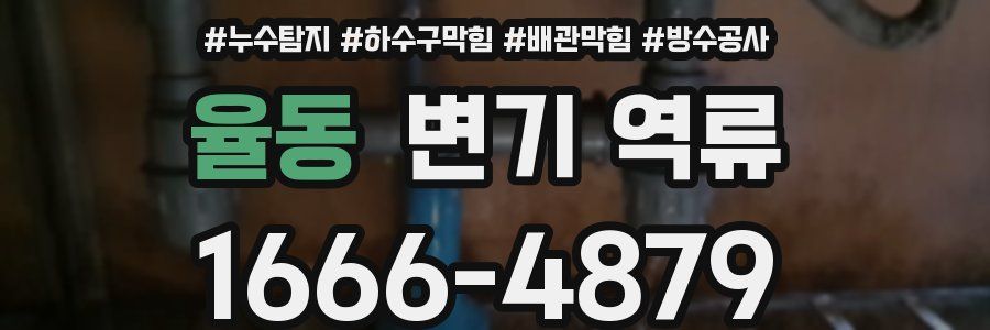 율동 변기 역류