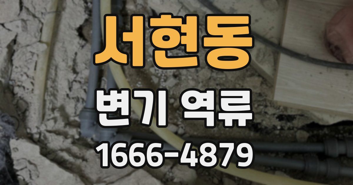 서현동 변기 역류