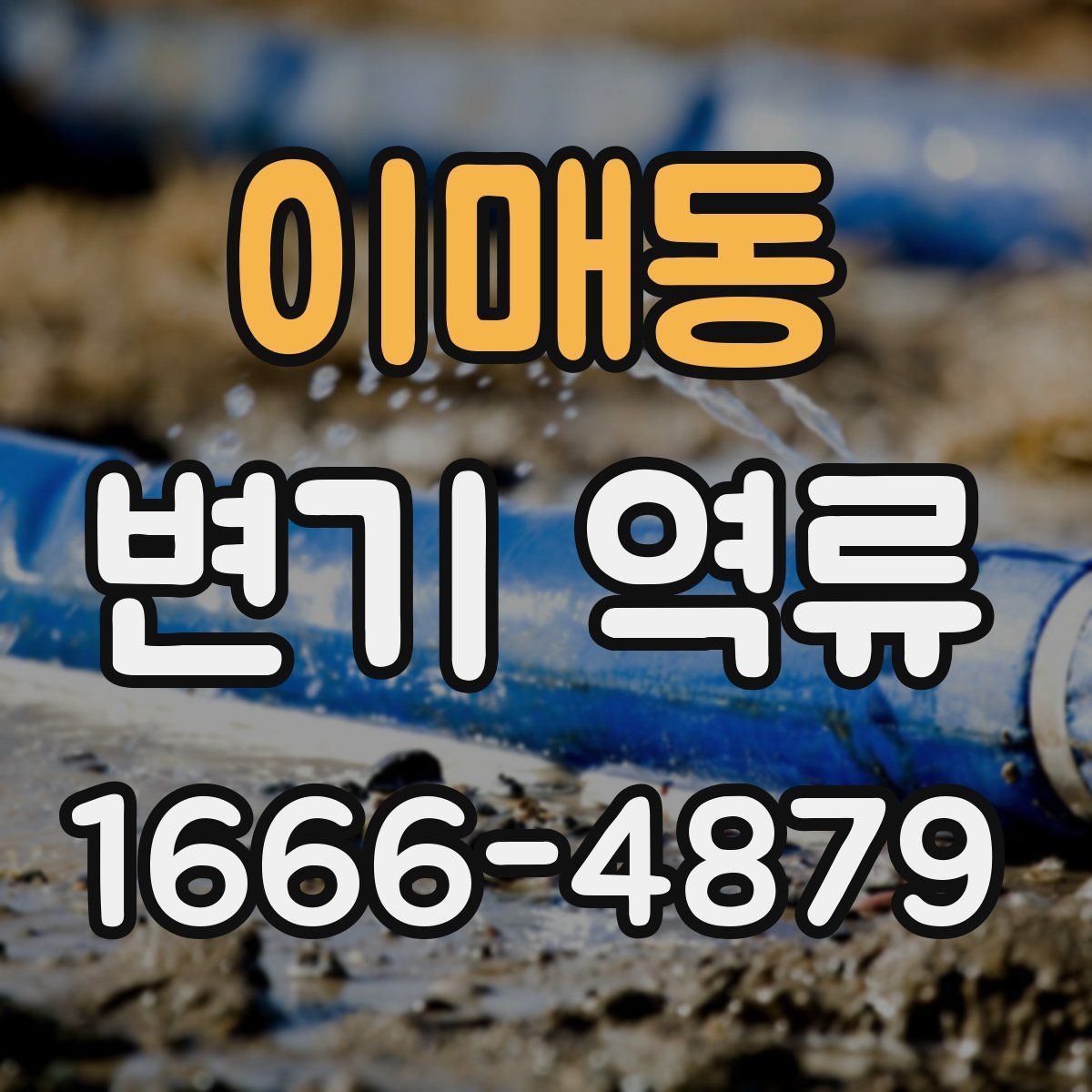 이매동 변기 역류