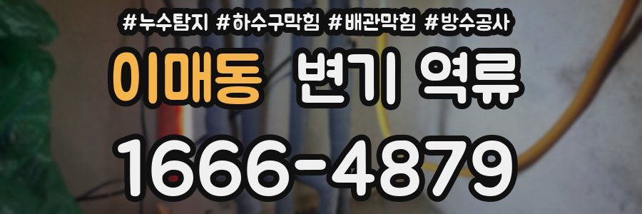 이매동 변기 역류