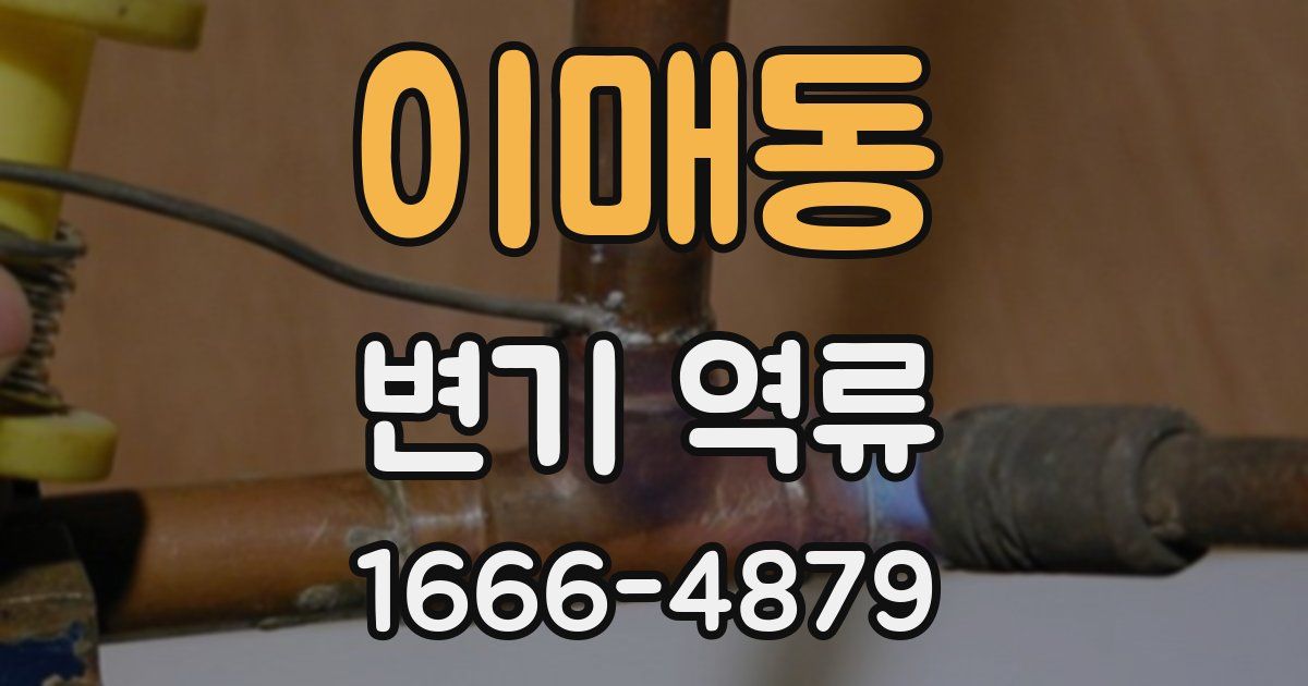 이매동 변기 역류