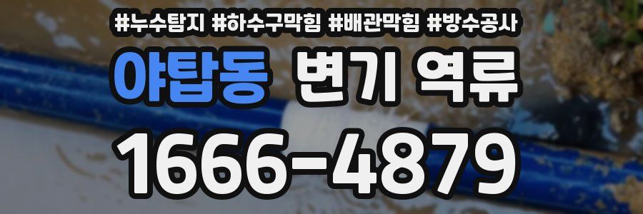 야탑동 변기 역류