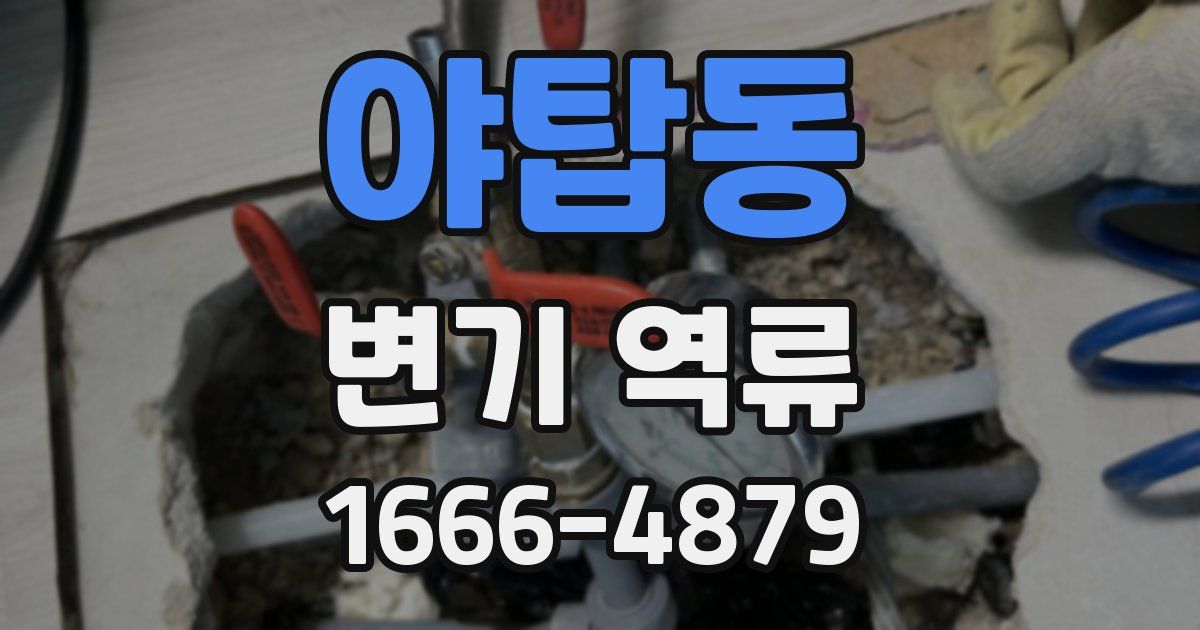 야탑동 변기 역류