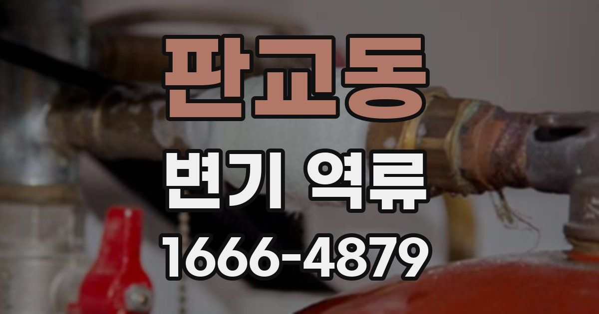 판교동 변기 역류