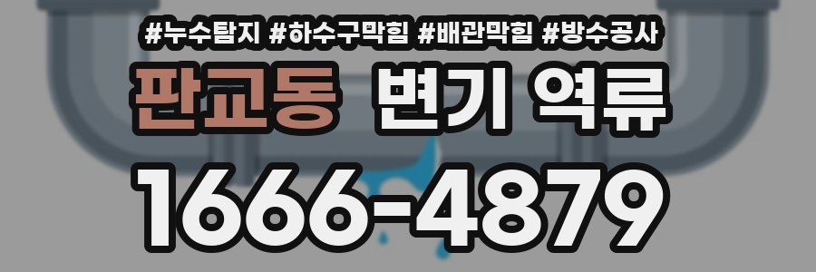 판교동 변기 역류