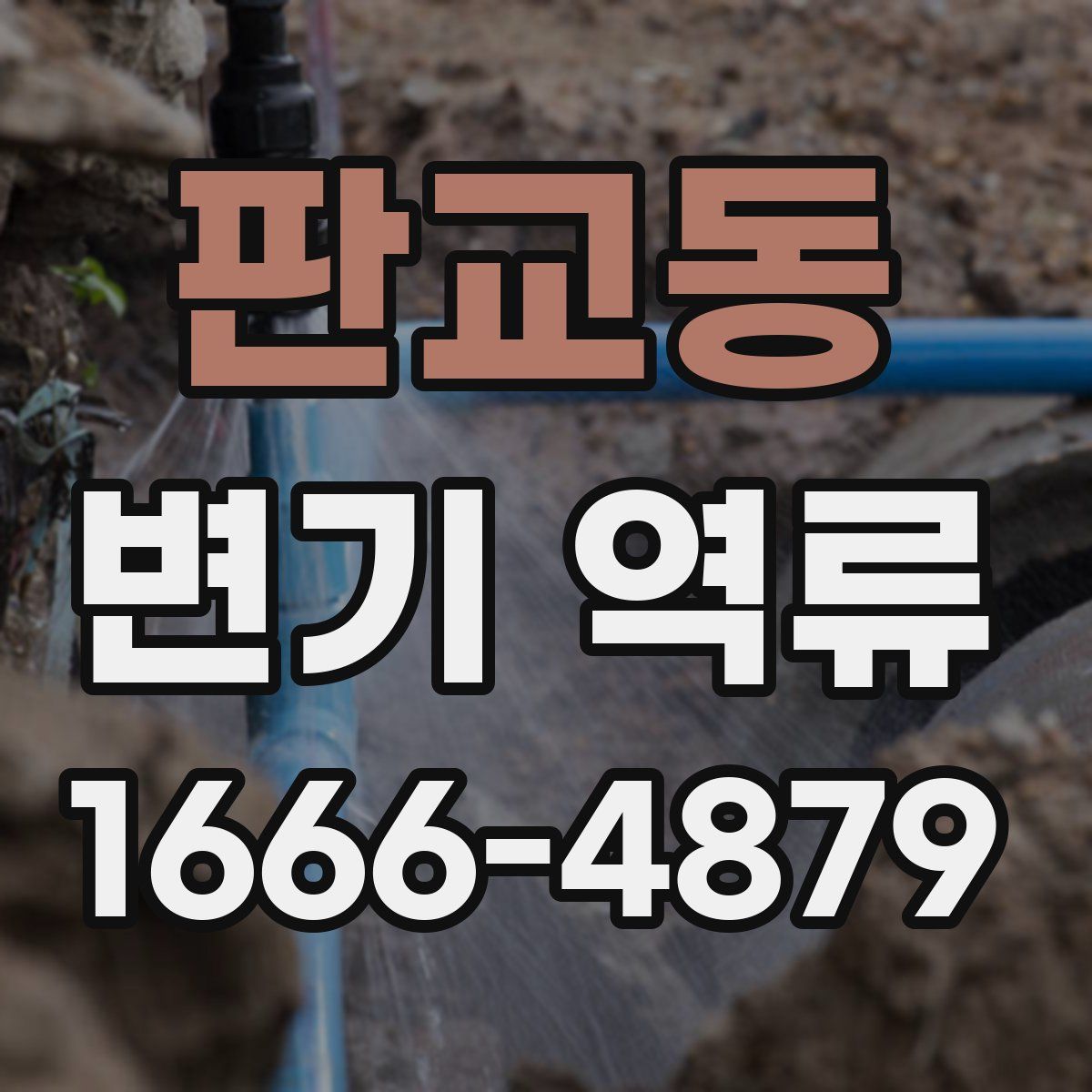 판교동 변기 역류