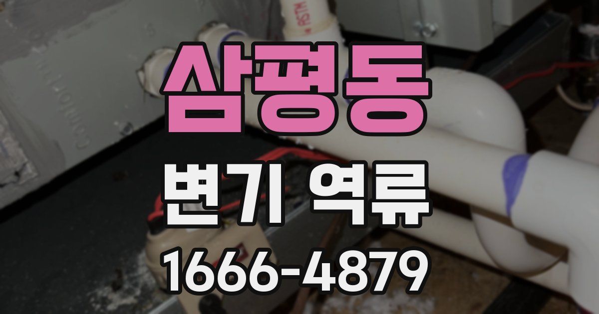 삼평동 변기 역류