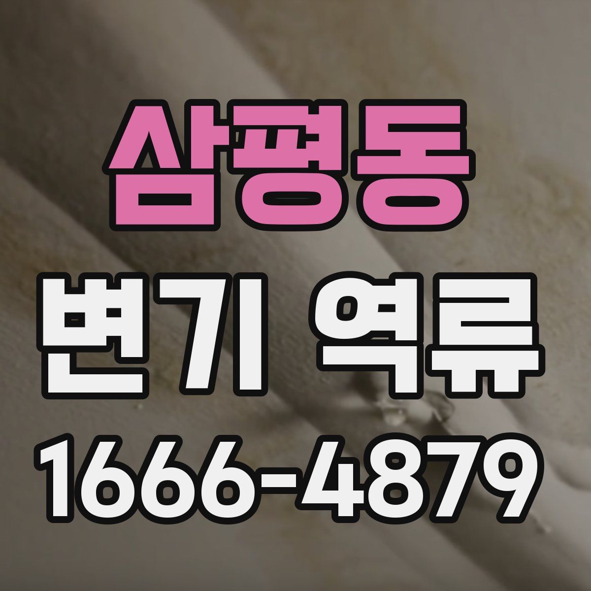 삼평동 변기 역류