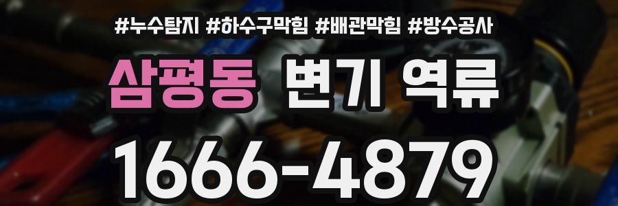 삼평동 변기 역류