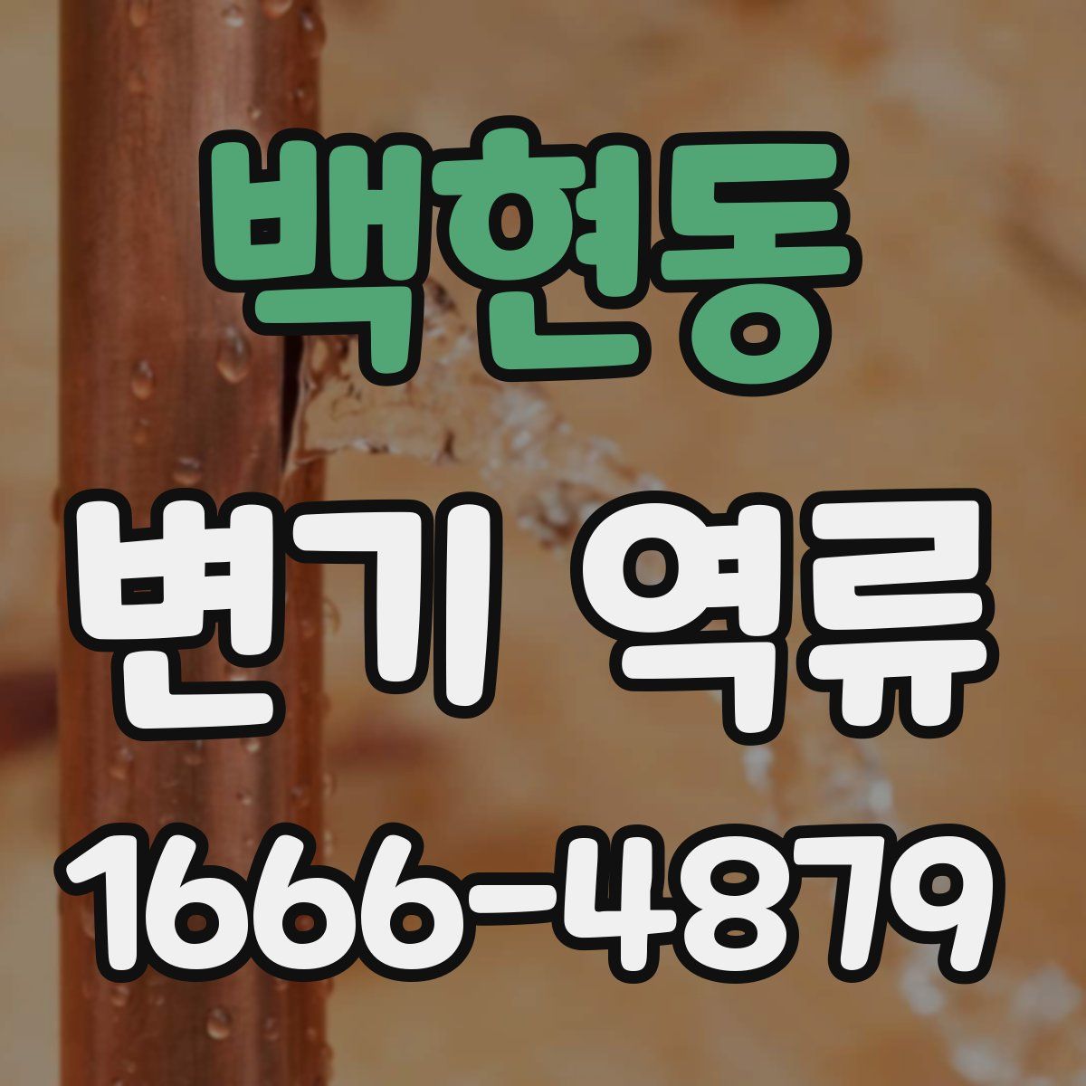 백현동 변기 역류