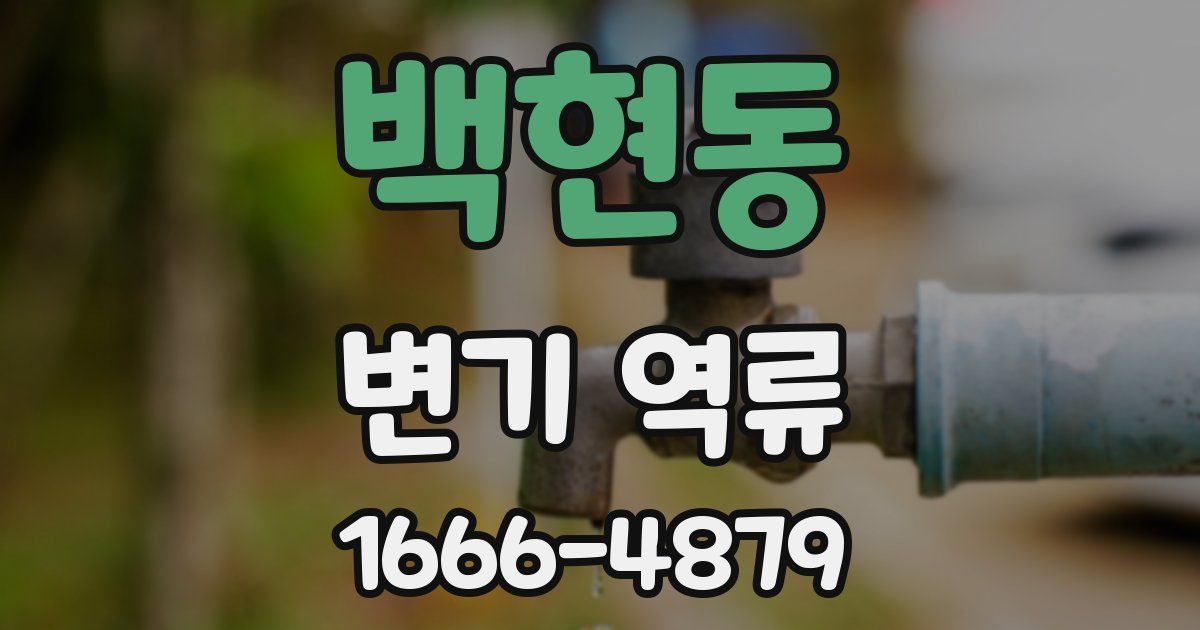 백현동 변기 역류