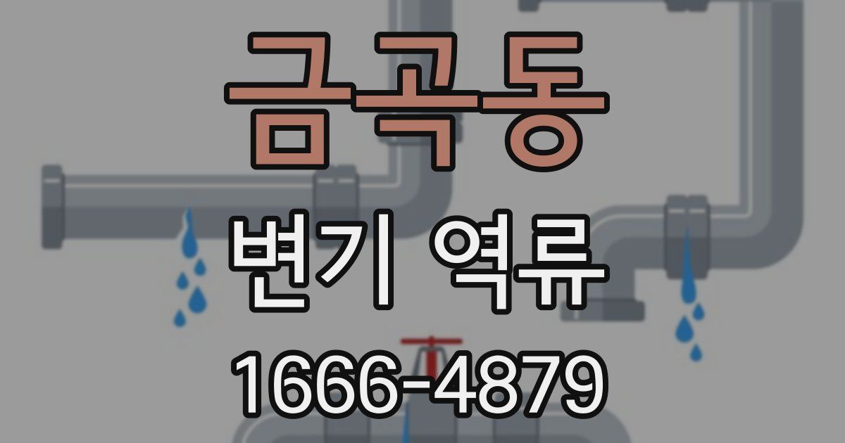 금곡동 변기 역류