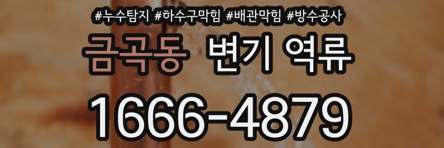 금곡동 변기 역류