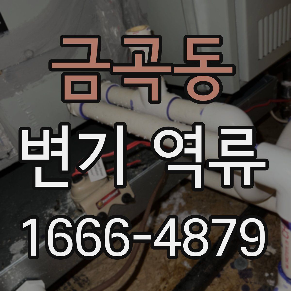 금곡동 변기 역류
