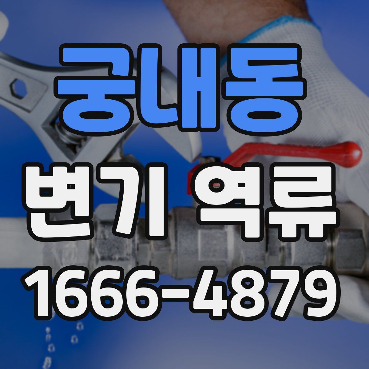 궁내동 변기 역류
