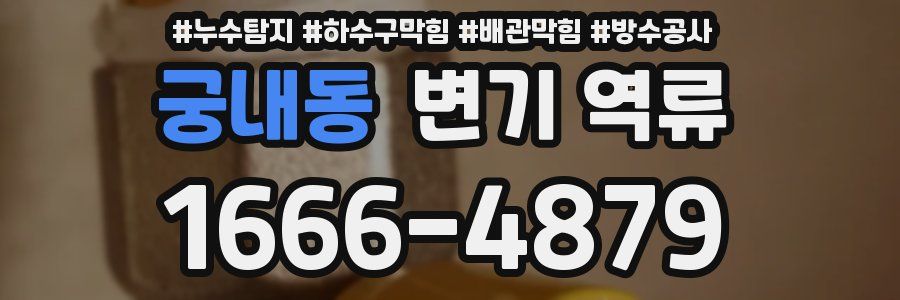 궁내동 변기 역류