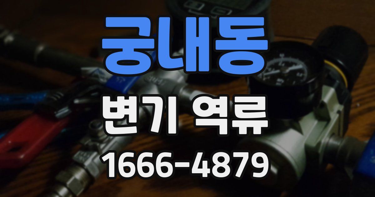 궁내동 변기 역류
