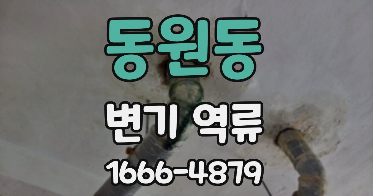 동원동 변기 역류