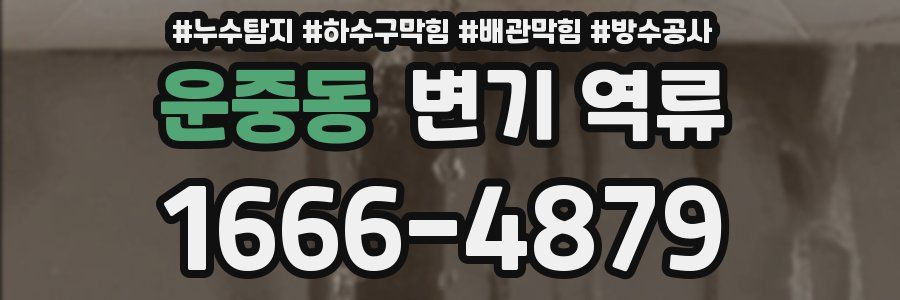 운중동 변기 역류