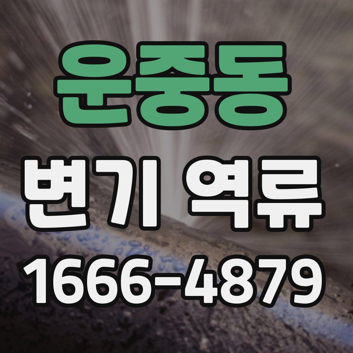 운중동 변기 역류