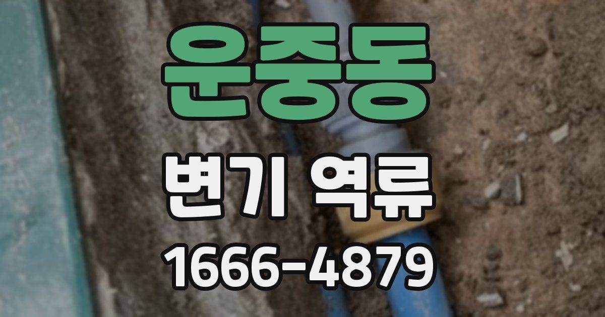 운중동 변기 역류