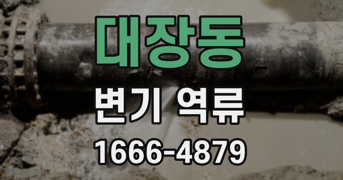 대장동 변기 역류