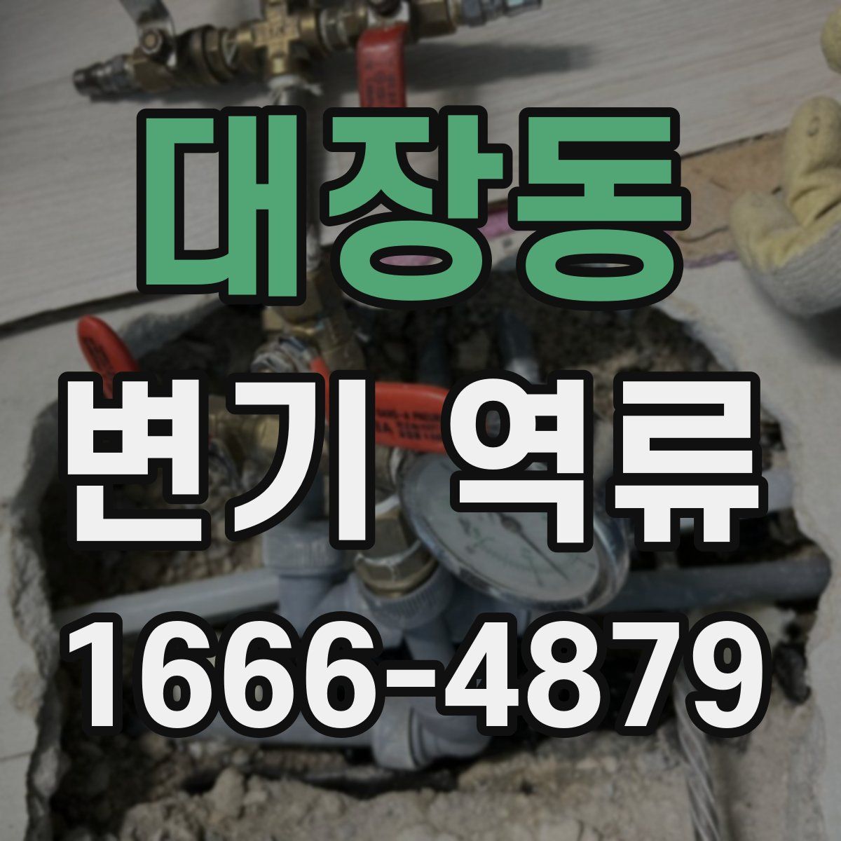 대장동 변기 역류