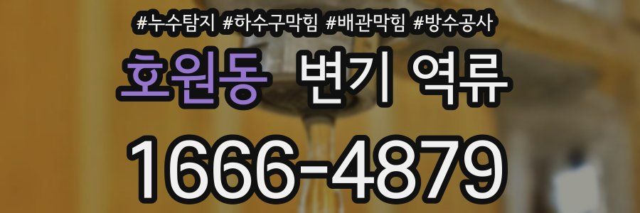 호원동 변기 역류