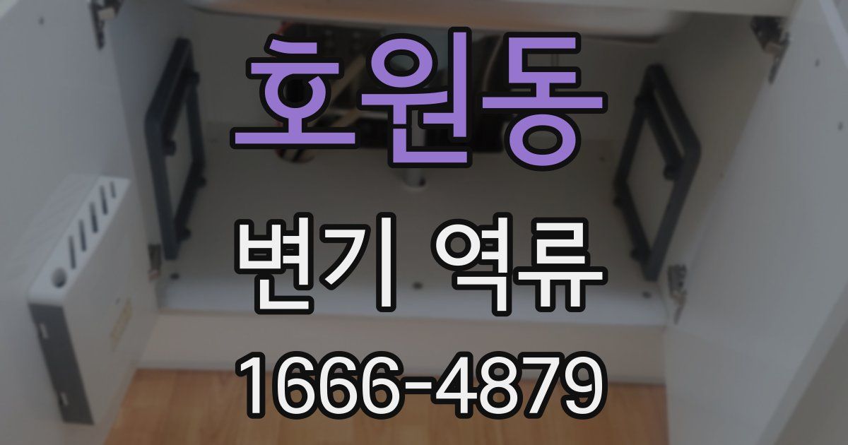 호원동 변기 역류