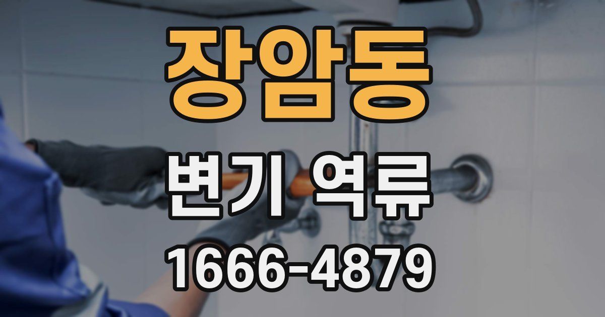 장암동 변기 역류