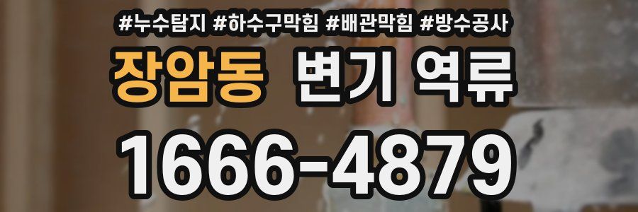 장암동 변기 역류