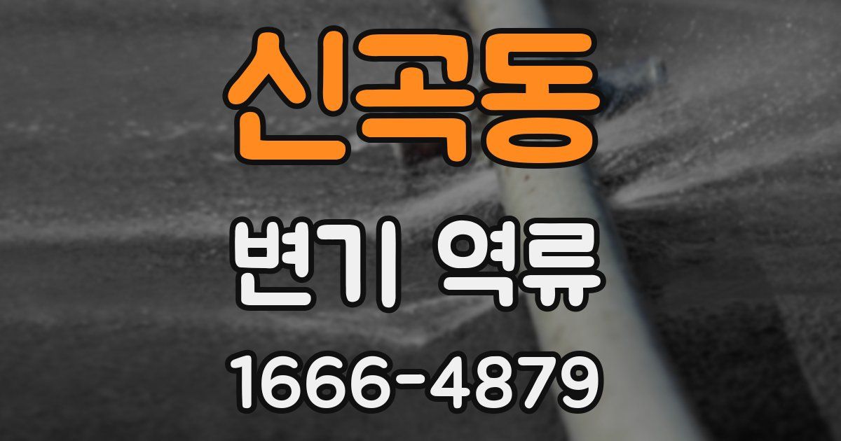 신곡동 변기 역류