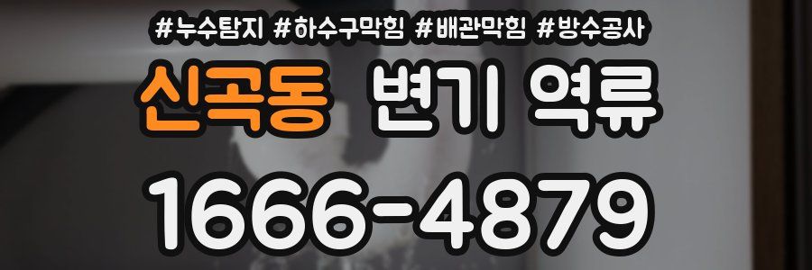 신곡동 변기 역류