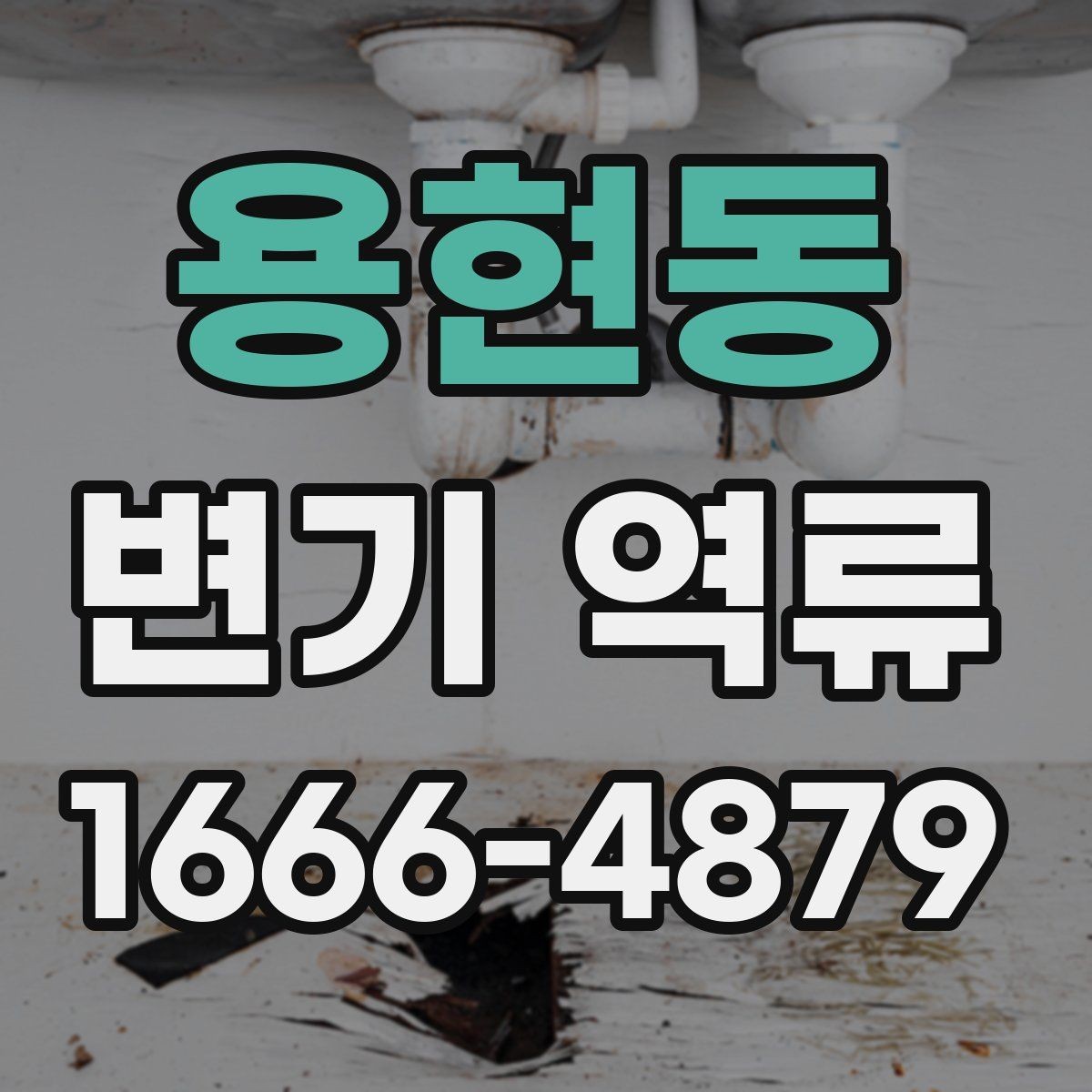 용현동 변기 역류 사용 중단이 필요한 위험 신호