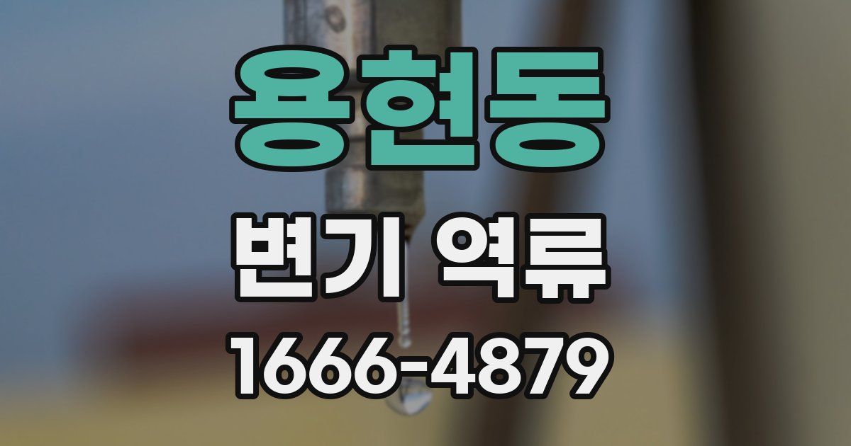 용현동 변기 역류