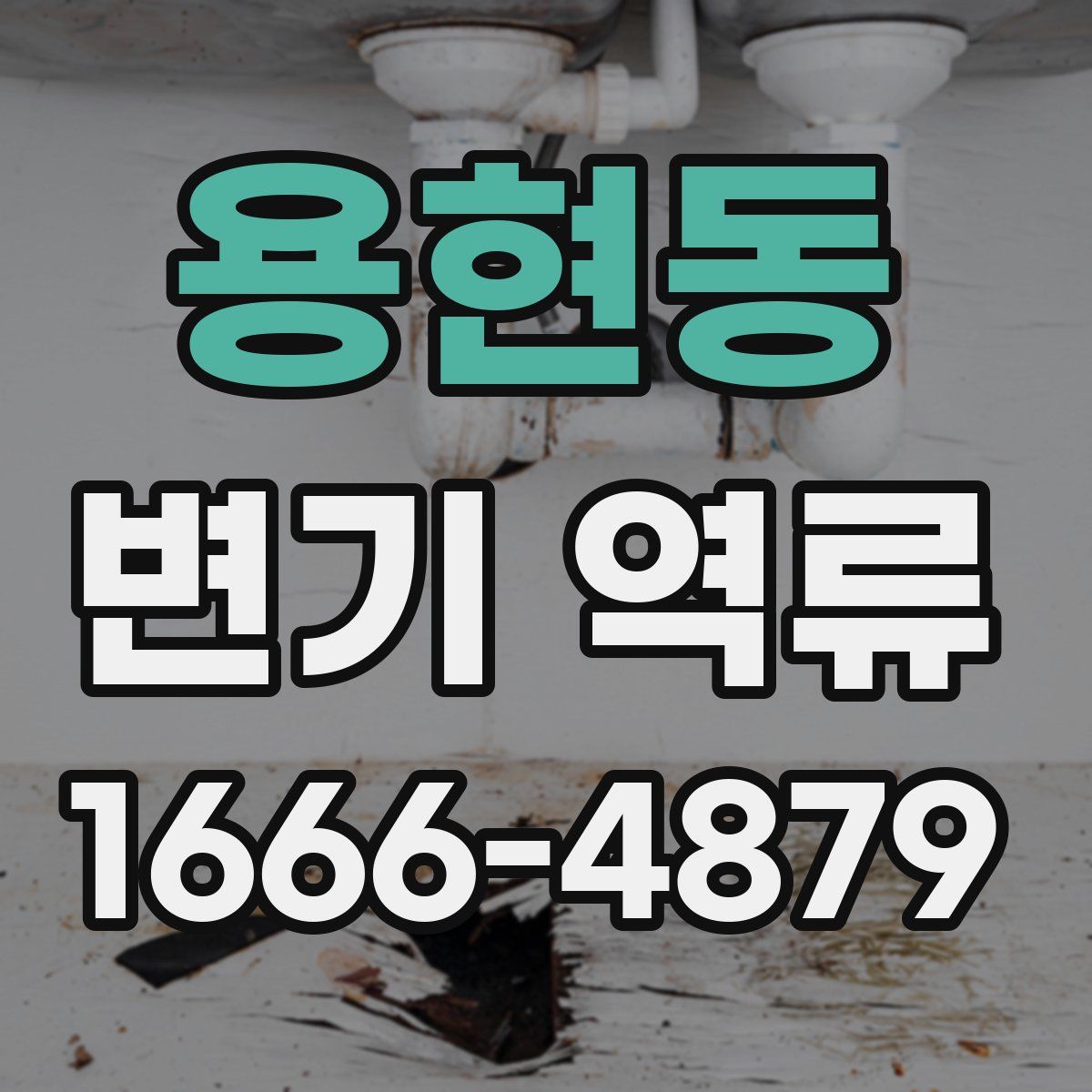 용현동 변기 역류