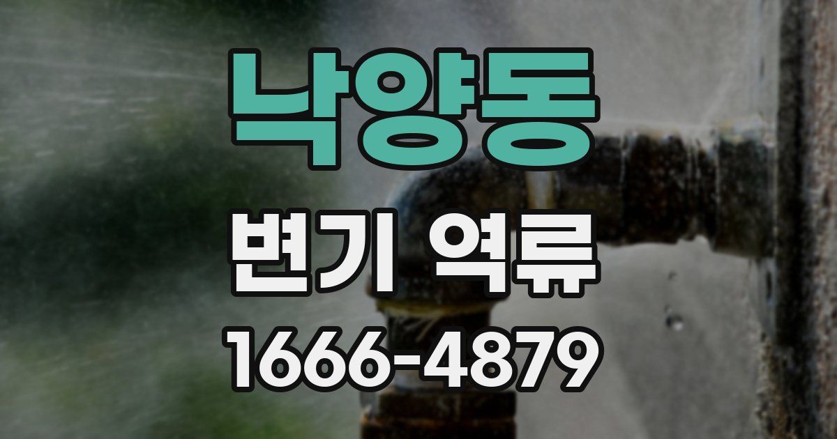 낙양동 변기 역류