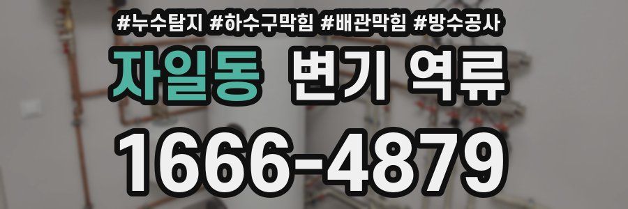 자일동 변기 역류