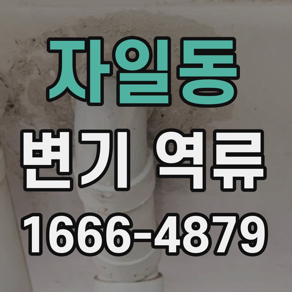 자일동 변기 역류