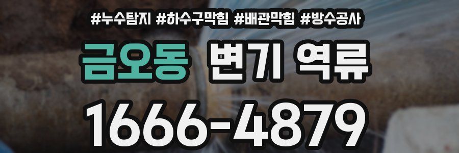금오동 변기 역류