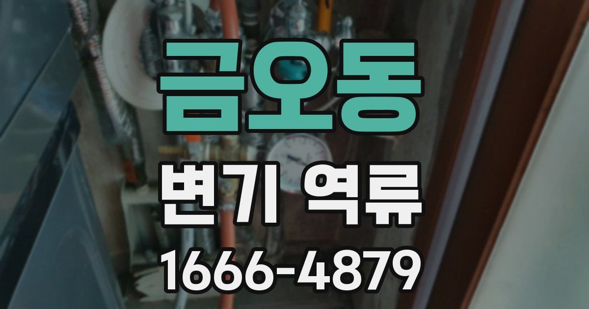 금오동 변기 역류