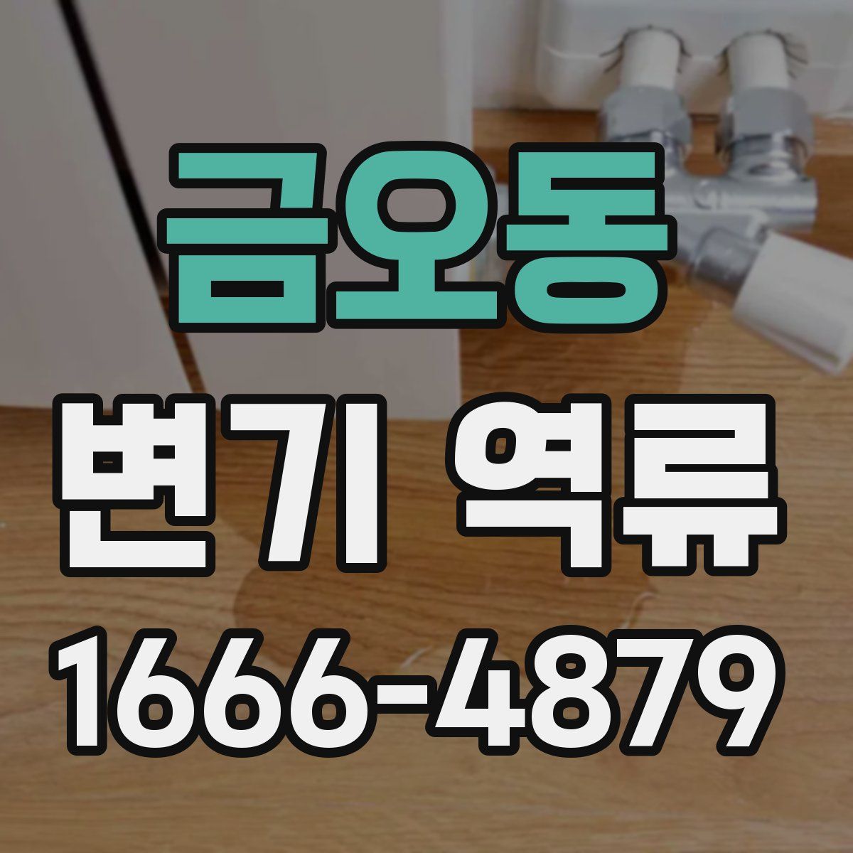 금오동 변기 역류